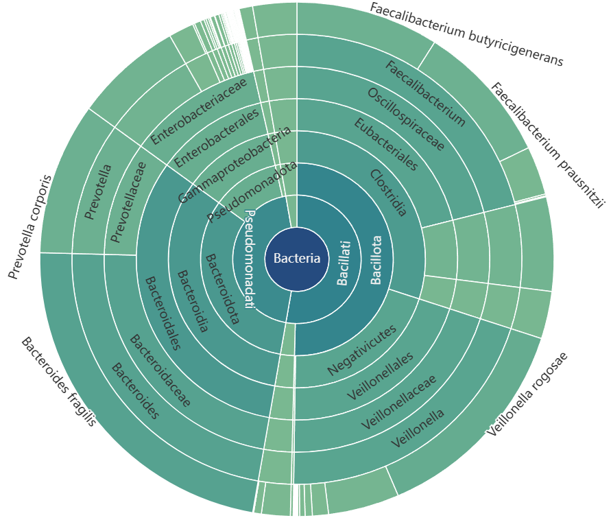 Sample output — Sunburst Chart