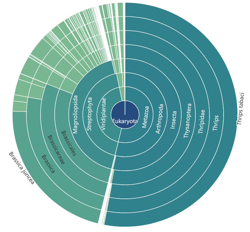 Sample output — Sunburst Chart