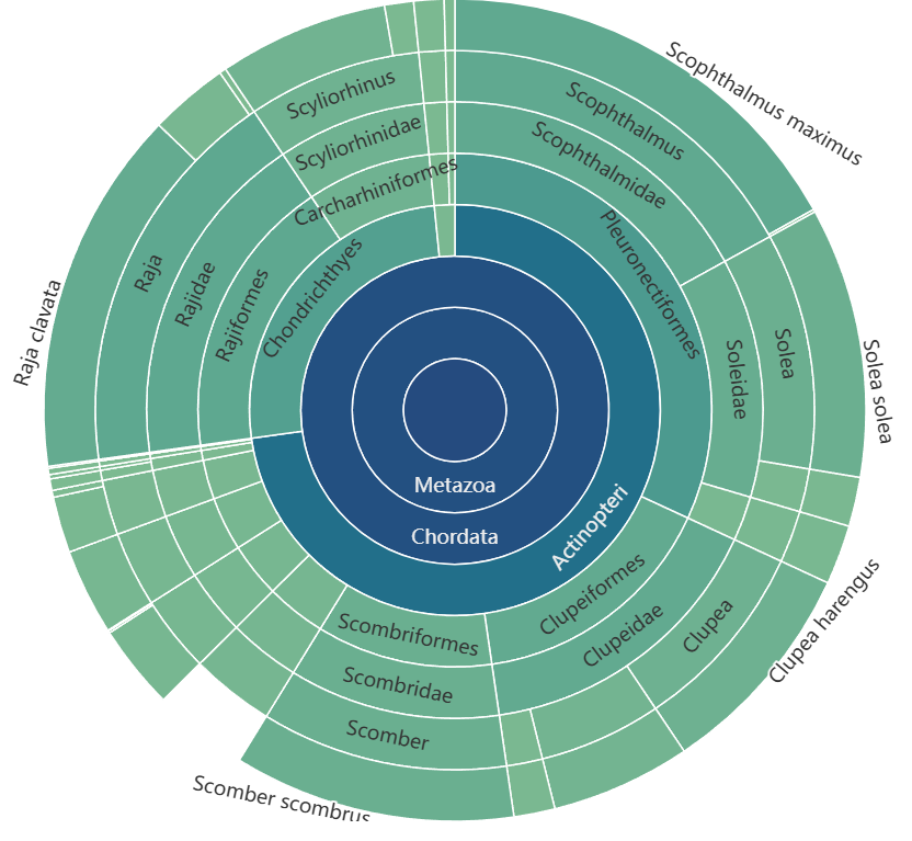 Sample output — Sunburst Chart
