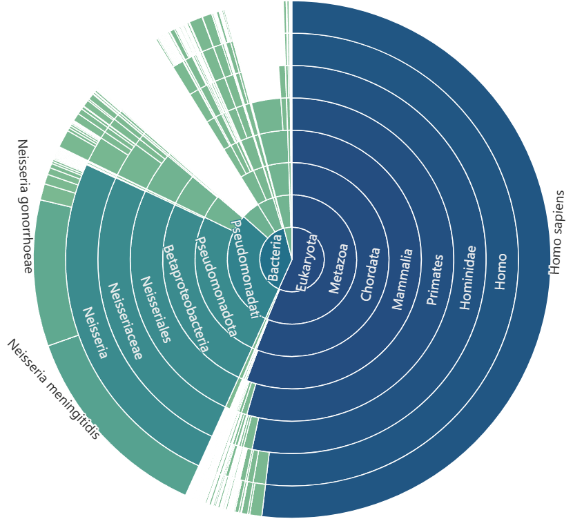 Sample output — Sunburst Chart