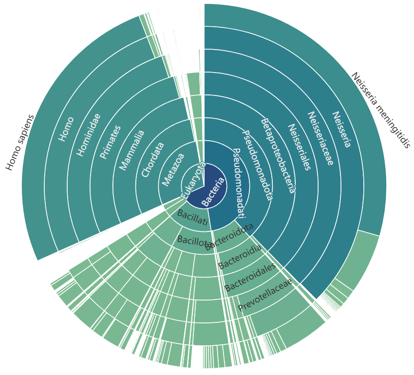 Sample output — Sunburst Chart