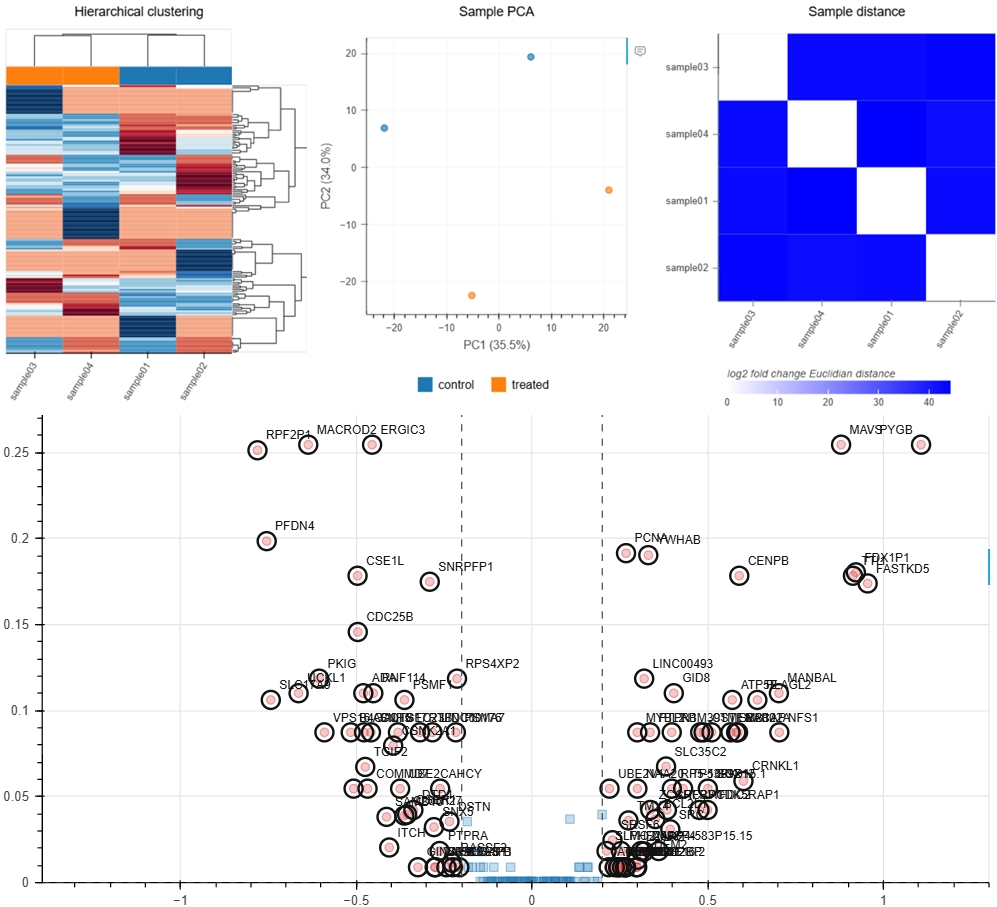 Sample output — Differential Gene Expression Results
